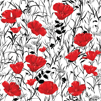 Hand drawn red poppies with  black and white backgrond, seamlessly repeating ornamental wallpaper pattern.