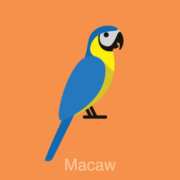 ilustrações, clipart, desenhos animados e ícones de arara-de-pássaro, série - arara azul