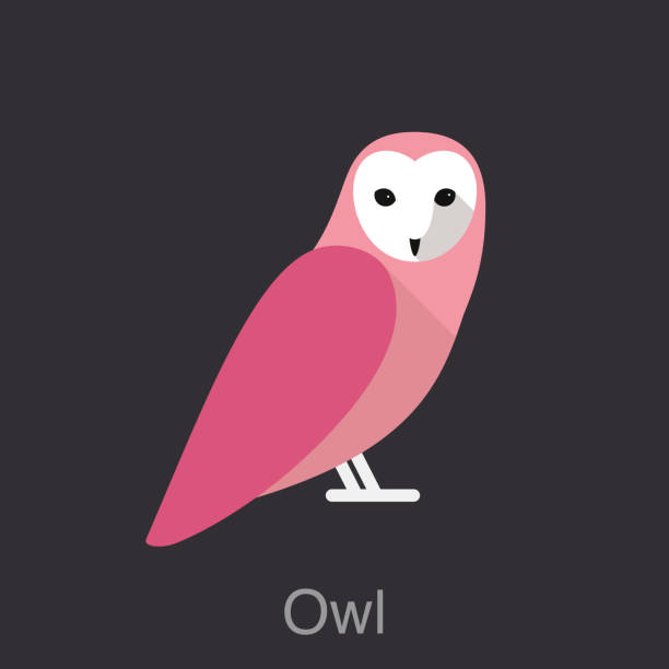Owl, bird series Owl face front , bird series owl illustrations stock illustrations