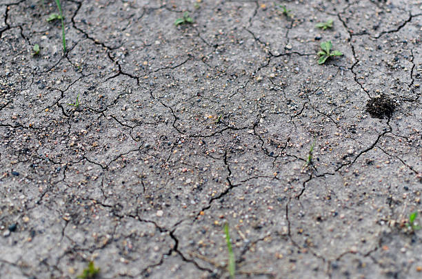 Close Up Detail Of Cracked Dry Ground Macro shot of a dry and cracked muddy area. misshaped stock pictures, royalty-free photos & images