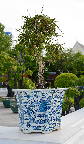 istock flowerpot decoration in garden 480621238