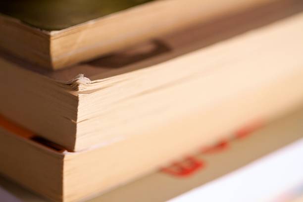 istock Pile Of Books 480621513