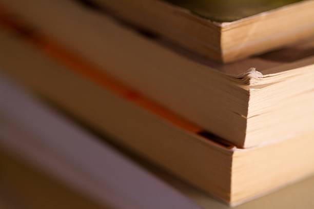 istock Pile Of Books 480621573
