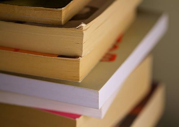 istock Pile Of Books 480621671