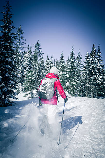 femme marche en raquettes dans le paysage de forêt d'hiver - winter snowshoeing running snowshoe photos et images de collection