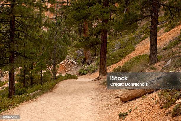 Waldweg Stockfoto und mehr Bilder von Anhöhe - Anhöhe, Baum, Bryce Canyon-Nationalpark