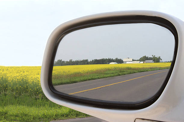 Bright Yellow Canola Fields Reflected in Side Mirror of Car Interesting action photo capturing the scenery of the bright yellow canola fields in full bloom, reflected in the side view mirror of a car.  The agricultural crops were GMO and were located in Wellington, in Prince Edward County, near the town of Picton.  A barn and house and farm can be seen in the distance and the flowering canola fields beside the car can be seen. picton new zealand stock pictures, royalty-free photos & images