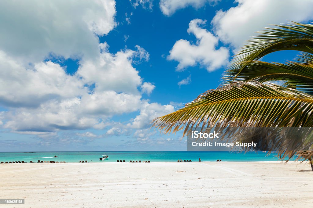 Photo of white sand beach. Stunning image of a white sand beach 2015 Stock Photo