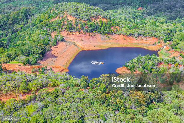 Peixe Pequeno Lago Rodeados De Argila Em Kauai - Fotografias de stock e mais imagens de Acima - Acima, Ao Ar Livre, Arbusto