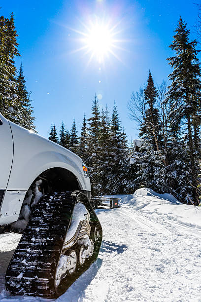 istock Tracked Snow Vehicle in Winter Forest 480629569