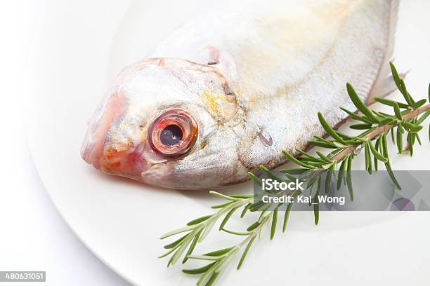 Silver Trevally Stock Photo - Download Image Now - Animal, Aquatic Mammal, Cut Out