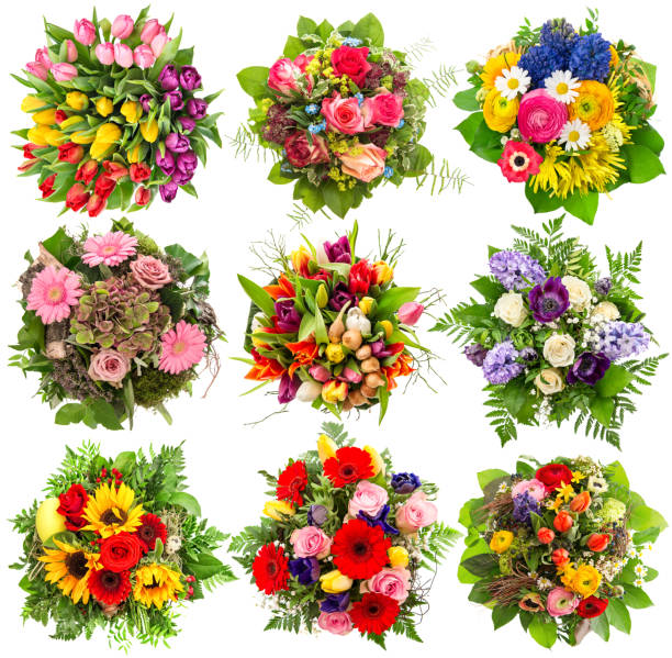 istock Flowers bouquet for spring and summer holidays. Floral objects 480631582