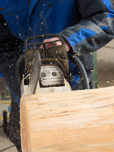 istock Close up of a tree trunk which is getting sliced 480631666