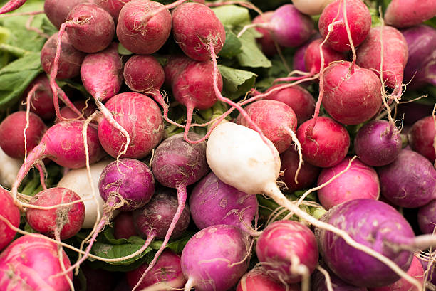 istock freshly harvested, organic radishes in colors 480631698