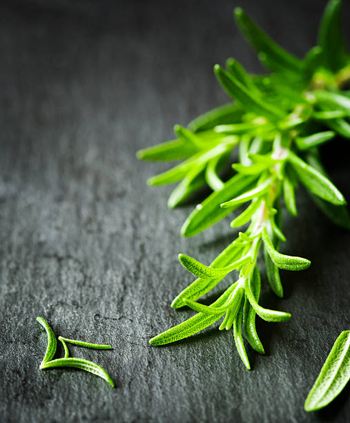 istock Fresh rosemary on a black background 480632618