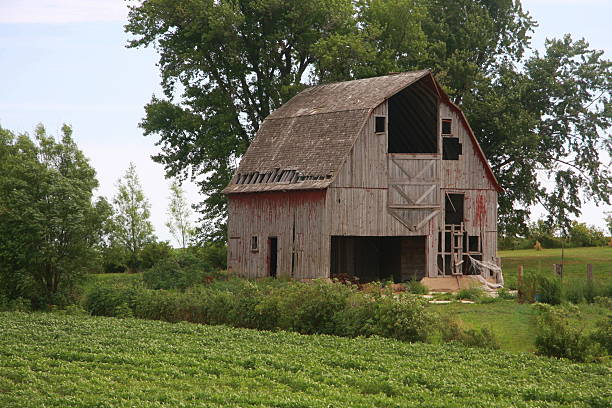 istock Green Landscape Surrounds Old Iowa Barn 480634944
