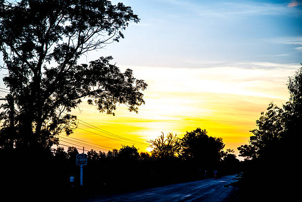 istock Landscape, sunny dawn in a field 480635186