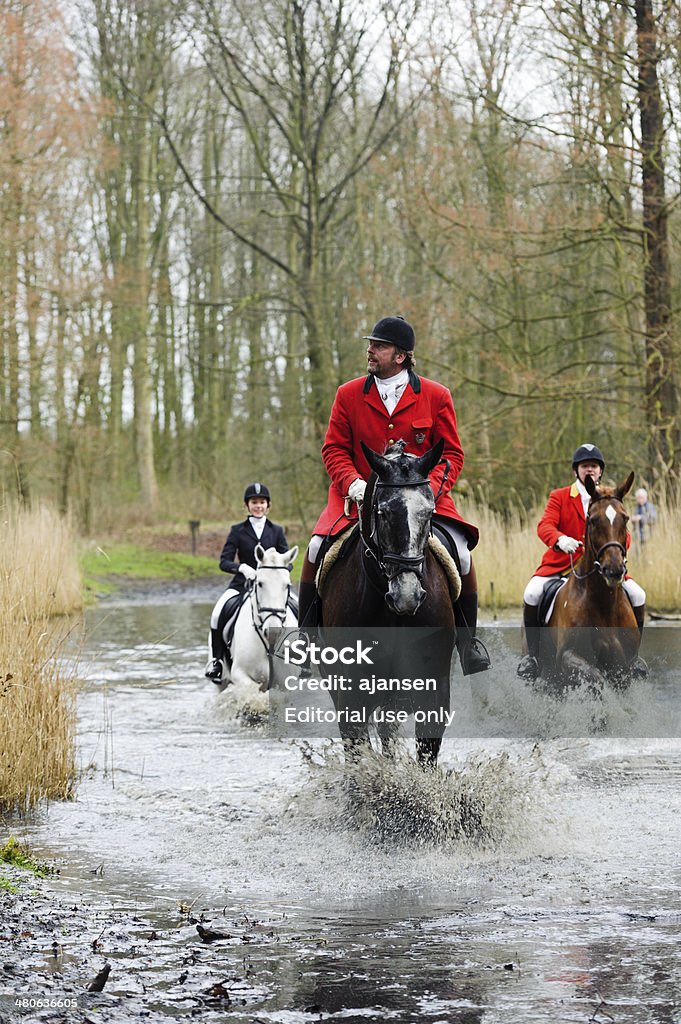 hunters riding their horses through a swamp amsterdam, netherlands - March 15, 2014: hunters riding their horses through a swamp in historic clothing during a fox hunt in the amsterdam forest Adult Stock Photo