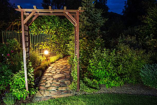 istock Evening in the Garden 480637898