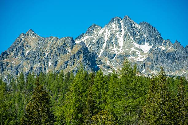 istock Slovakian Tatra Mountains 480637912