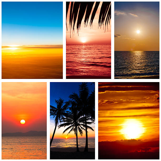 istock Collection of sunset  backgrounds 480637956