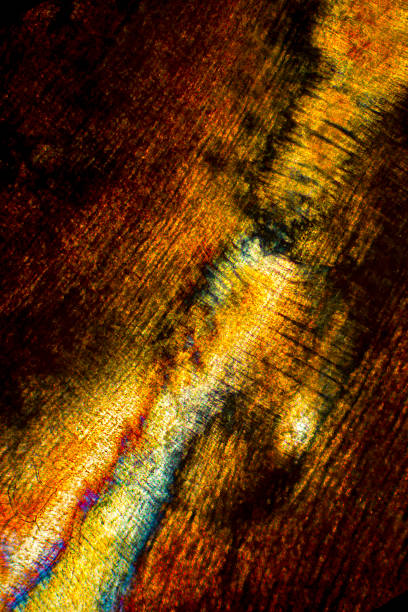 istock Abstract, polarizing micrograph of muscle from an earthworm, ver 480638036