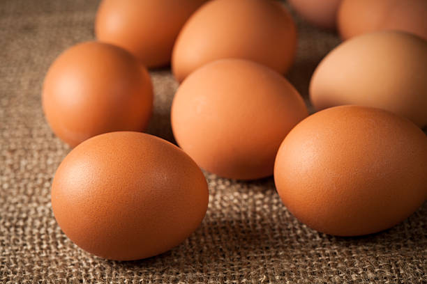 卵、バーラップ - agriculture brown burlap cholesterol ストックフォトと画像