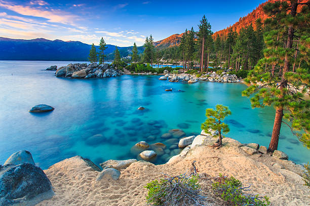 lake tahoe - nature travel locations plants landscapes 뉴스 사진 이미지