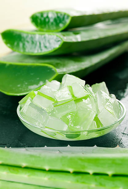 aloe vera - nature selective focus green vertical fotografías e imágenes de stock