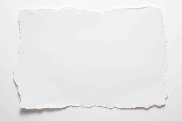 istock Torn piece of blank white paper on white background 480641457