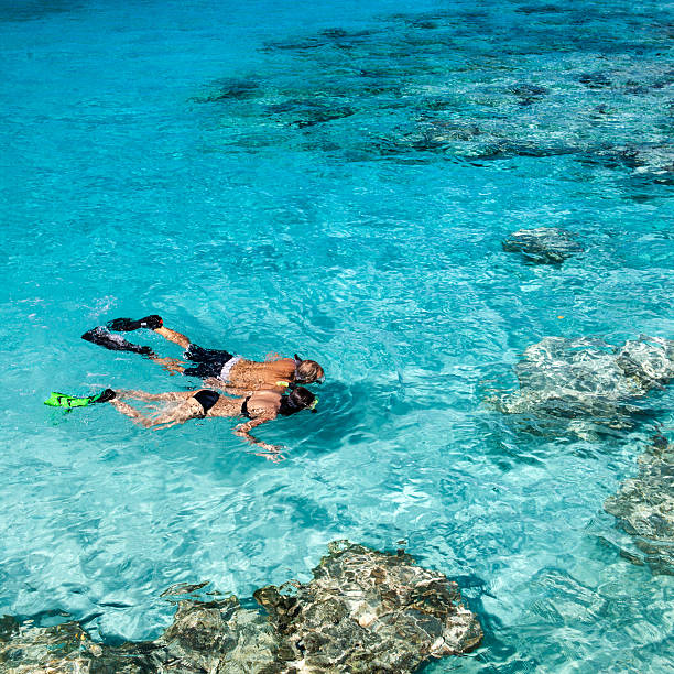 honeymoon couple holding hands while snorkeling in the Caribbean crystal clear waters