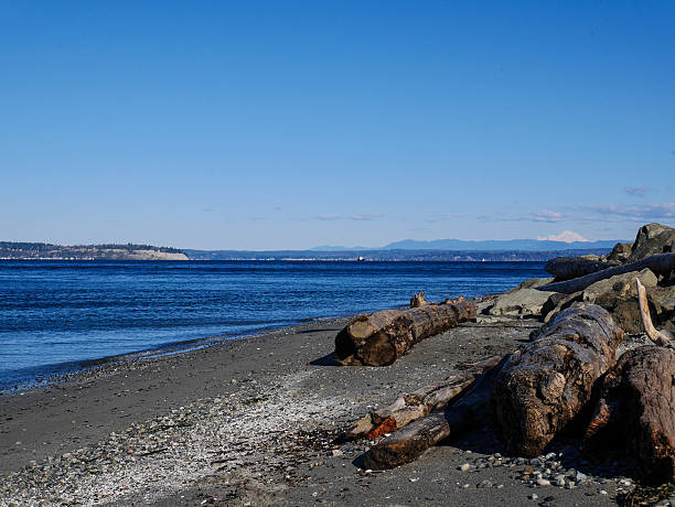 Beach with driftwood on Puget Sound near the Mukilteo Ferry Terminal.