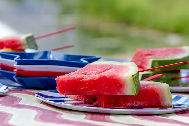 istock Watermelon on a stick at picnic 480646722