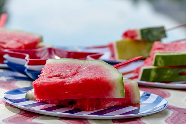 istock Watermelon on a stick at picnic 480646750
