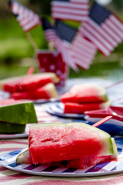 istock Watermelon on a stick at picnic 480646756