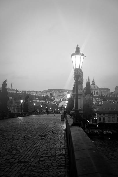 istock Charles Bridge in Prague at dawn Czech Republic 480646906