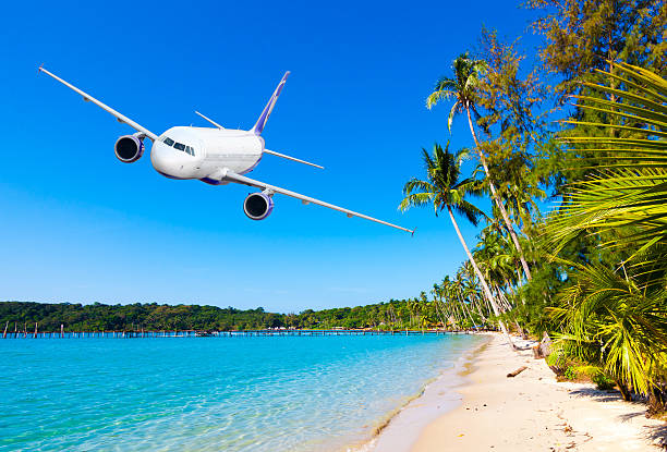 istock Tropical holidays on the sunny beach 480649968
