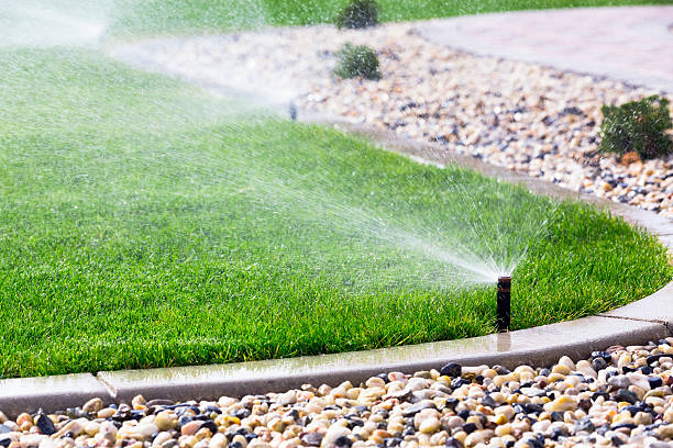 aspersores automáticos (sprinklers) - relvado - fotografias e filmes do acervo