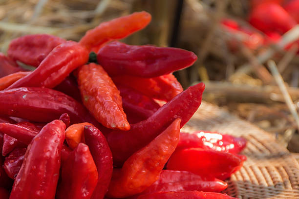 istock Coloured of Chili peppers 480652231