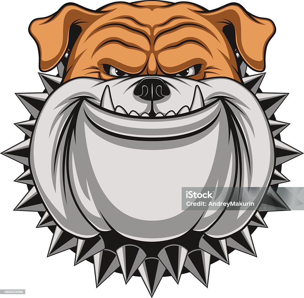 Angry dog Vector illustration Angry bulldog mascot head, on a white background 2015 stock vector