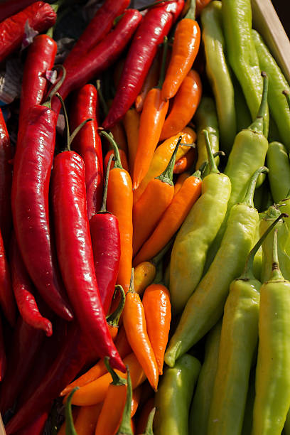 istock Coloured of Chili peppers 480654259