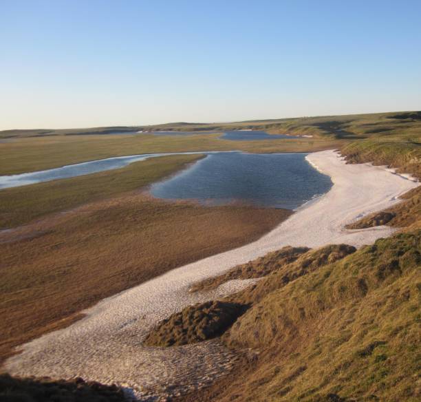 istock Tundra reservoirs. 480655298