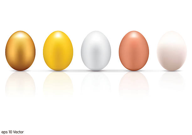 illustrazioni stock, clip art, cartoni animati e icone di tendenza di metallizzato uova set - eggs animal egg gold light