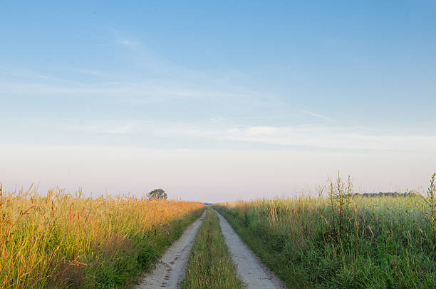 istock landscape with  country road in summer 480657944