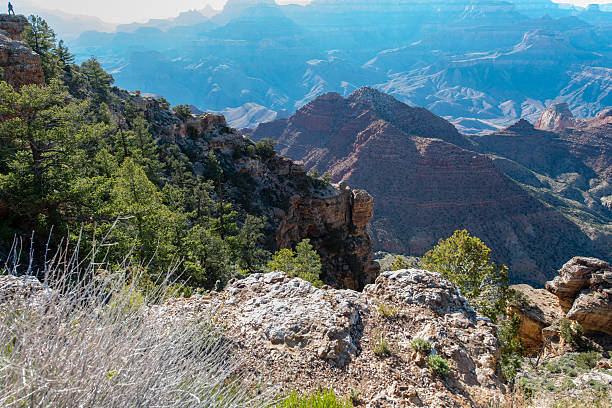 istock Grand Canyon National Park 480662668