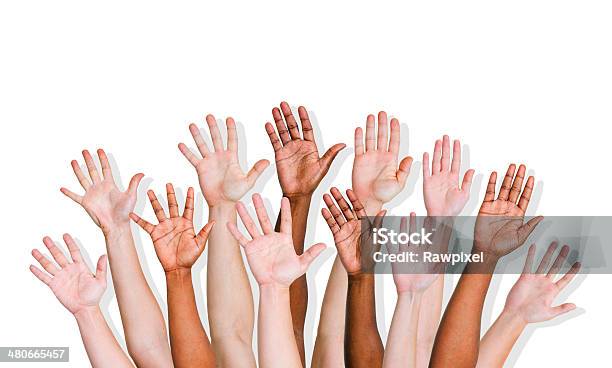 Group Of World Peoples Hands Stock Photo - Download Image Now - Hand Raised, White Background, Arms Raised