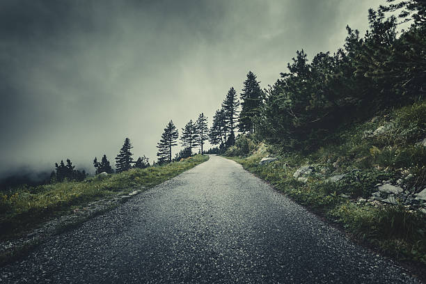istock Winding road in a misty forest 480666110