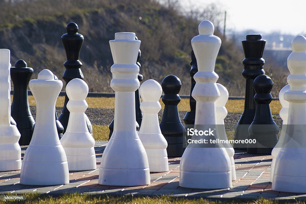 Royal Chess Chess - board game outside. Anticipation Stock Photo