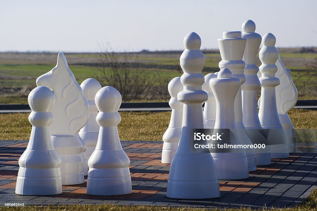 Royal Chess Chess - board game outside. Anticipation Stock Photo