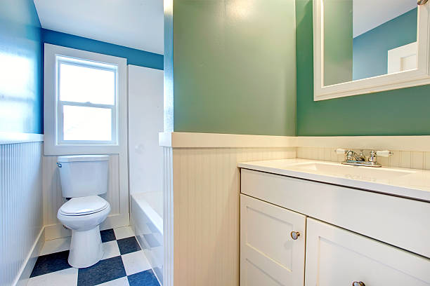 istock White bathroom with green and blue walls 480685797